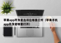 蘋果app開發(fā)者選項(xiàng)在哪里打開（蘋果手機(jī)app開發(fā)者哪里打開）